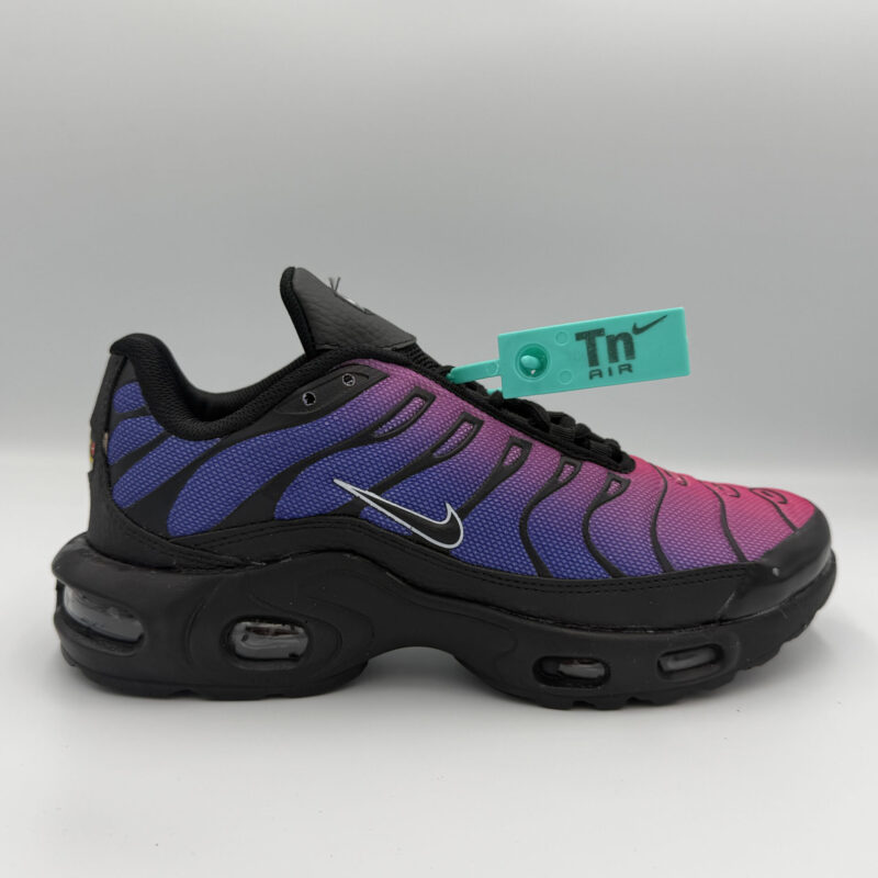 Nike Air Max Plus (TN) - Градиентен стил